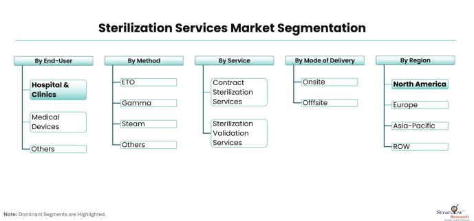 Sterilization-Services-Market-Segmentation